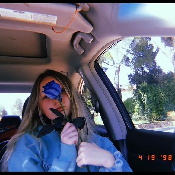 Meet your Posher, Tessa - Picture 1 of 1